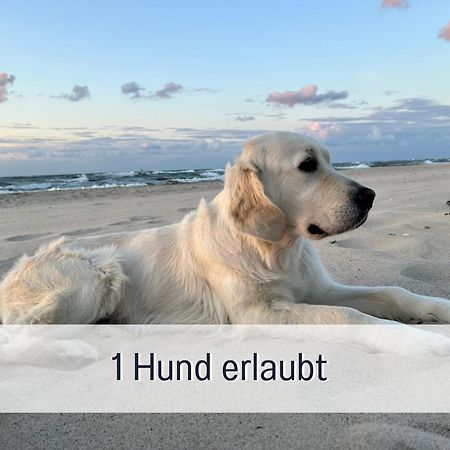 3 Zimmer App Duenengarten Fewo 58 Ostseebad Kühlungsborn Exterior foto