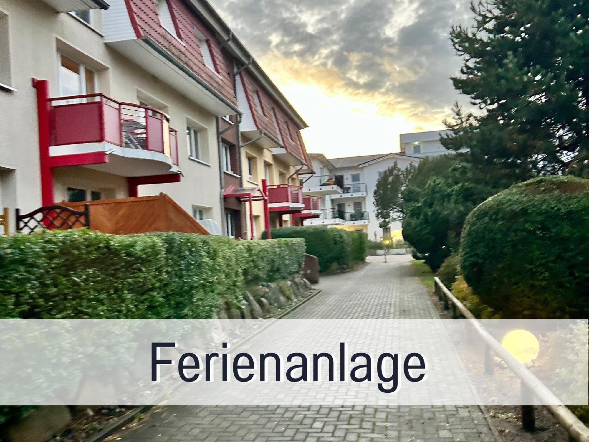 3 Zimmer App Duenengarten Fewo 58 Ostseebad Kühlungsborn Exterior foto