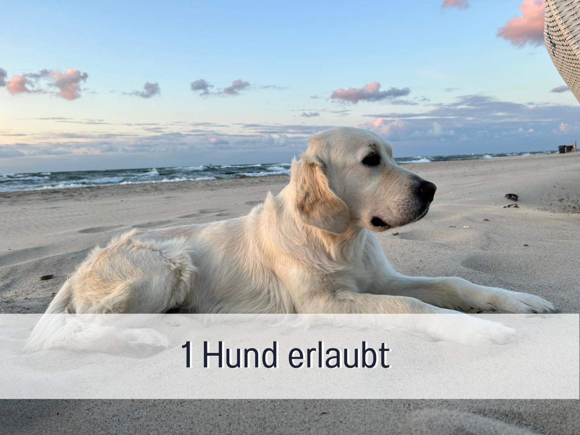 3 Zimmer App Duenengarten Fewo 58 Ostseebad Kühlungsborn Exterior foto